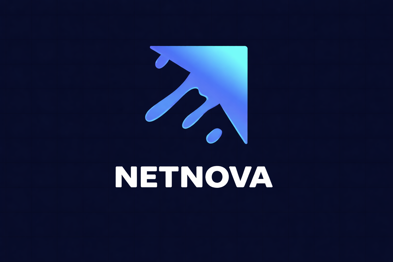 NetNovaWeb logo